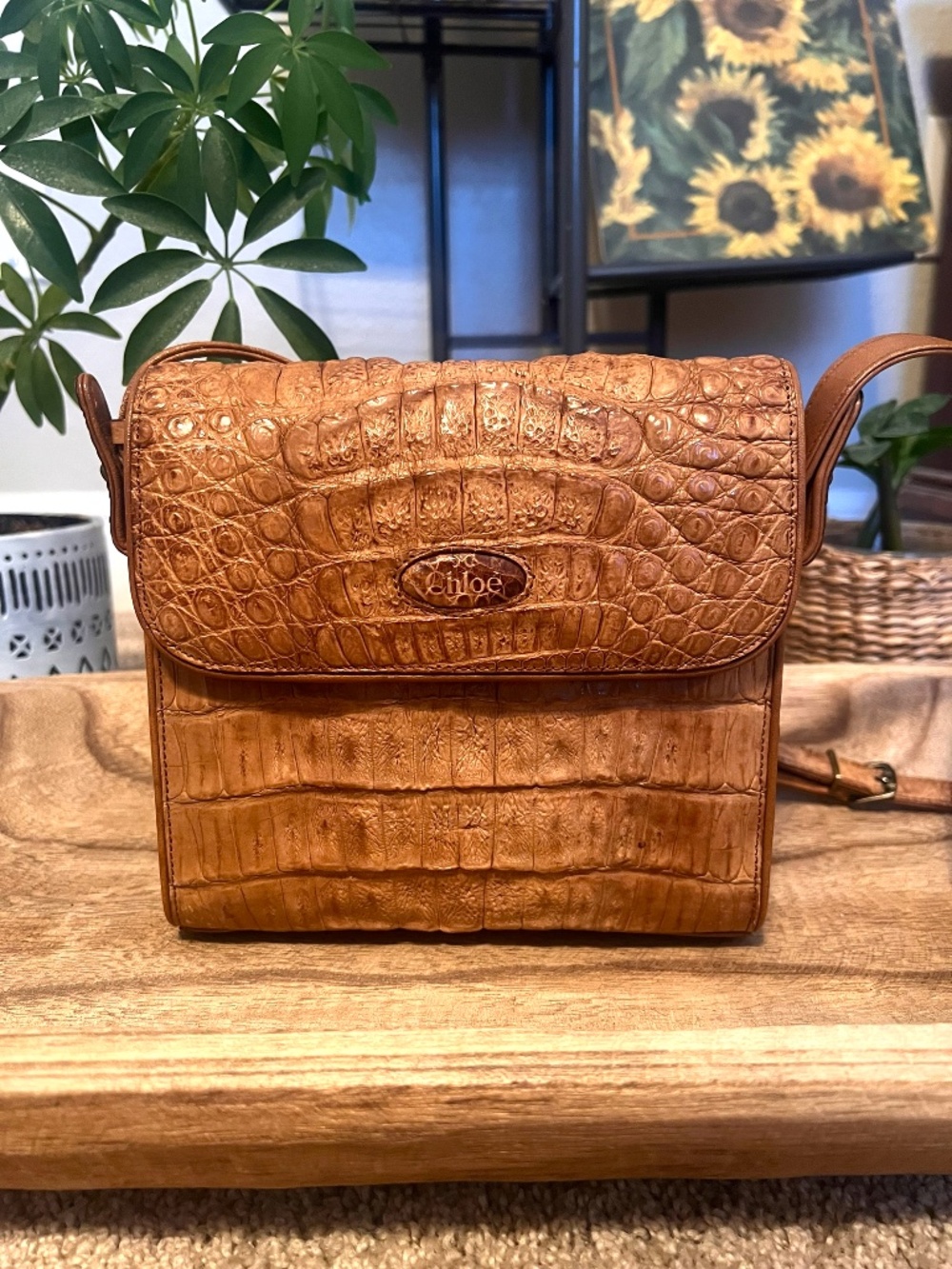Miss Chloé Vintage Croc Embossed Leather Crossbody Bag